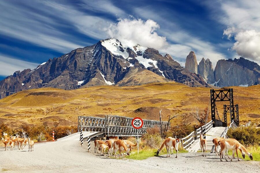 Puerto Natales: Tour Package (Full Day + Base Torres + Grey) - Key things I’d circle before you book