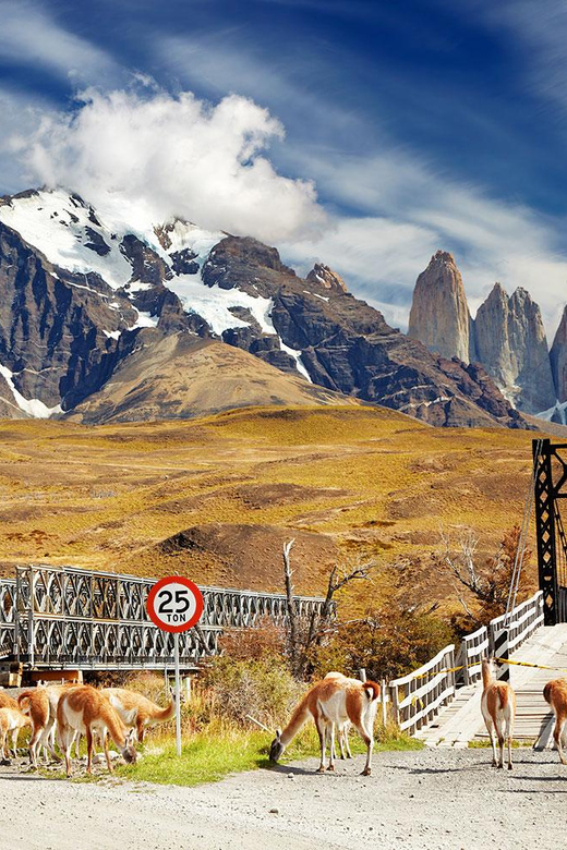 Puerto Natales: Tour Package (Full Day + Base Torres + Grey) - The Rules That Keep the Park Wild: Litter, Animals, and Campfires