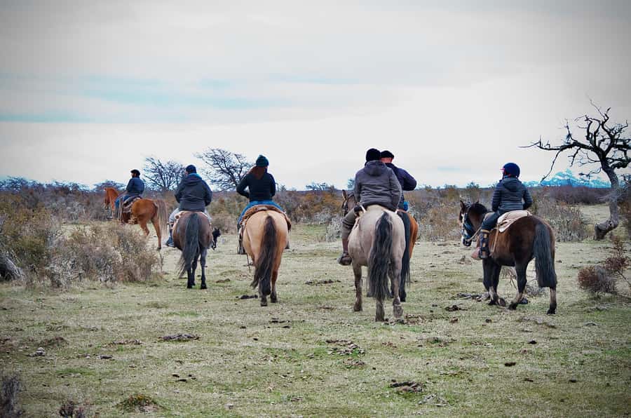 Puerto Natales: Traditional Horseback Riding Experience - From Puerto Natales To Puerto Demaistre: The Setup That Matters