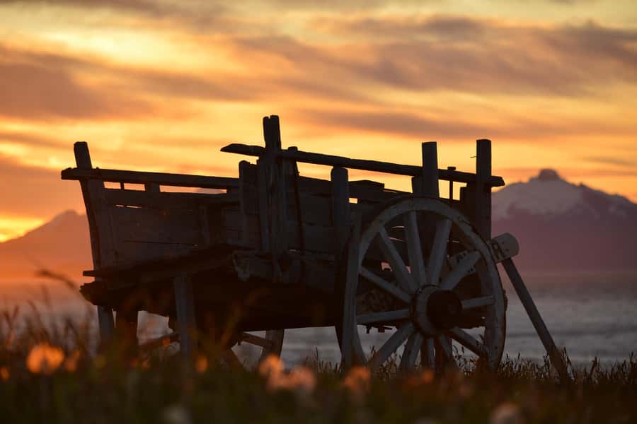Puerto Natales: Traditional Horseback Riding Experience - What You Do at the End: Snack and Coffee Reset