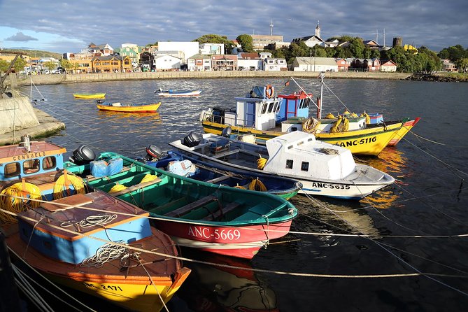 Puerto Varas; Full day, Chiloe island: Ancud, Caulin and Lacuy - Getting picked up in Puerto Varas without stress