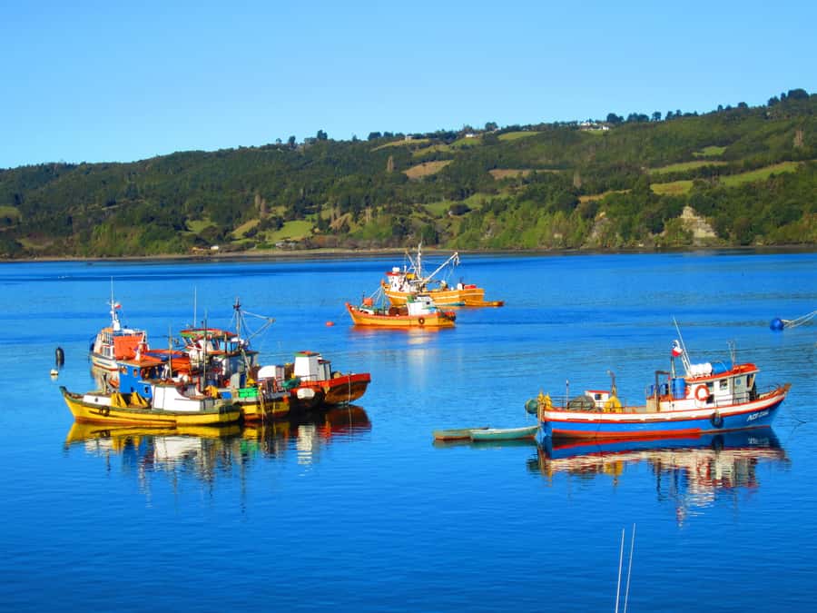 Puerto Varas: FullDay Chiloe Island Tour Castro and dalcahue - FAQ
