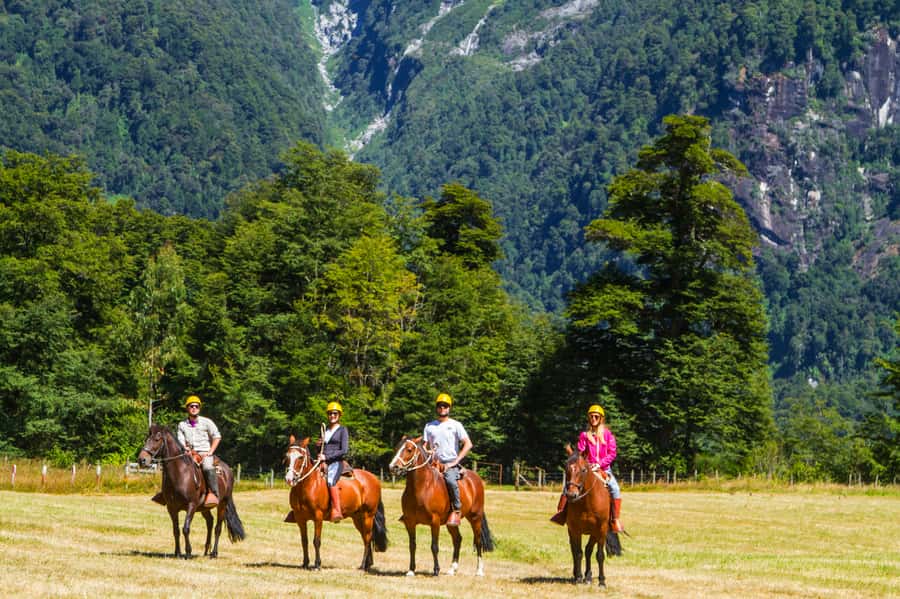 Puerto Varas: Peulla Day Trip - Price and Logistics: Does $66 Feel Like a Good Deal?