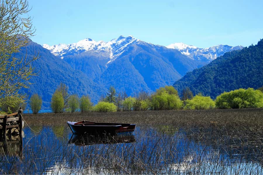 Puerto Varas: Peulla Day Trip - Who This Day Trip Is Best For (and Who Should Rethink It)