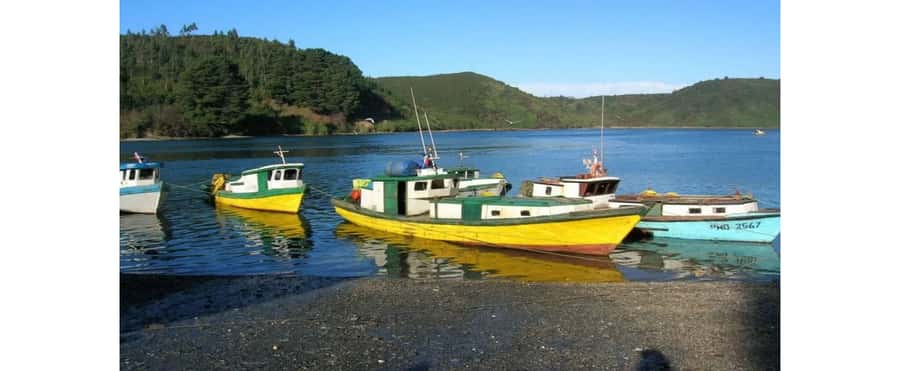 Puerto Varas: Puerto Montt & Puerto Varas Private City Tour - German Colonists, Not Just a Name on a Map
