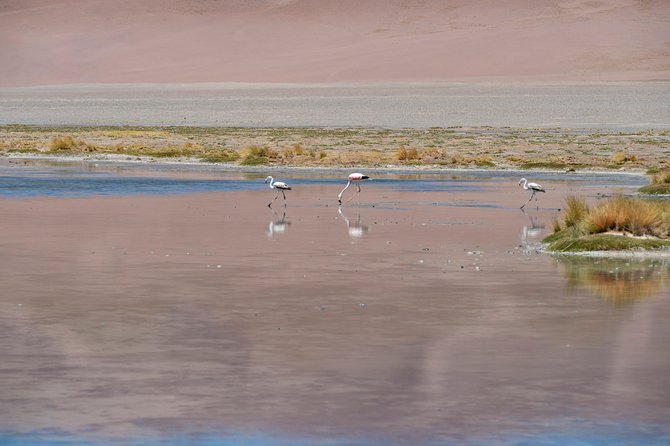 Puna Salt Flats - Full Day Tour - San Pedro de Atacama - Must Visit - Stop 5: Quisquiro Salar (キスキロ湖), the Wind, and That Hat-Flying Reality