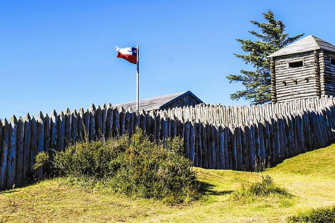 Punta Arenas and Magellan Strait Tour - How the Punta Arenas and Magellan Strait day actually feels