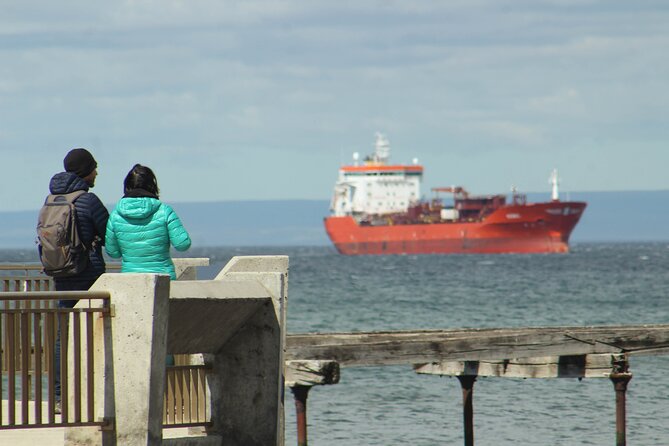 Punta Arenas Antarctic History Private City Tour - What the Private Format Changes in Your Experience