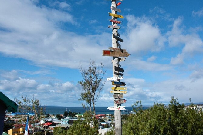 Punta Arenas City Tour Shore Excursion - Monumento al Ovejero and the Costanera walk