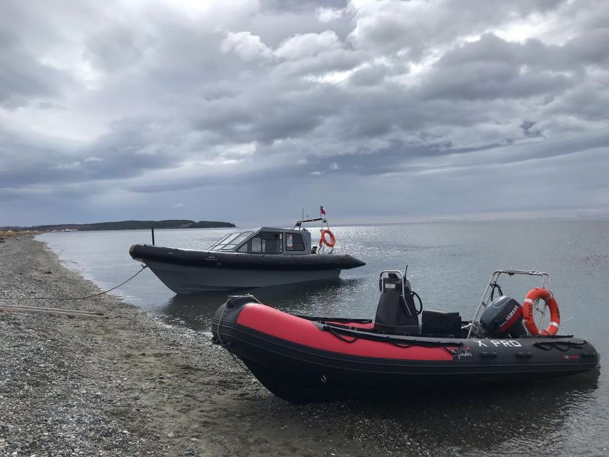 Punta Arenas: Dolphin & Wildlife Watching - Food, timing, and the snack at the end