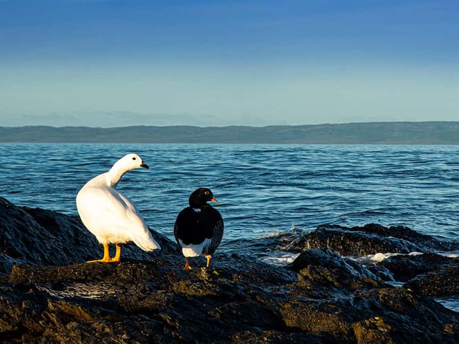 Punta Arenas: Fort Bulnes Historical Tour - Hitting the Right Pace With a Small Group (10 Max)