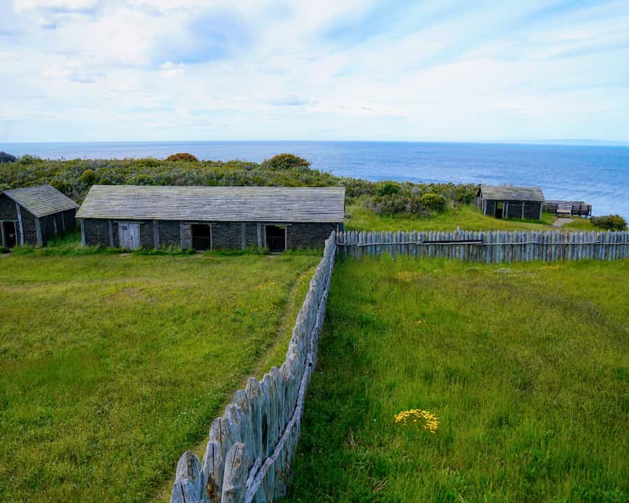 Punta Arenas: Fuerte Bulnes Shore Tour for Cruisers - Pacing and timing: what your half-day feels like in real life
