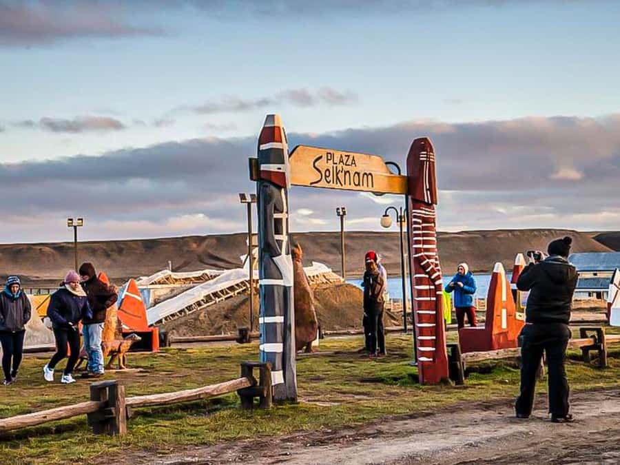 Punta Arenas: Full Day Tierra del Fuego & King Penguins - Key things you should know before you go