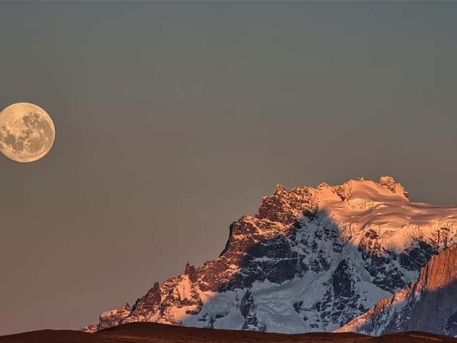 Punta Arenas: Full-Day Torres del Paine Tour - A long, high-impact day in Torres del Paine from Punta Arenas