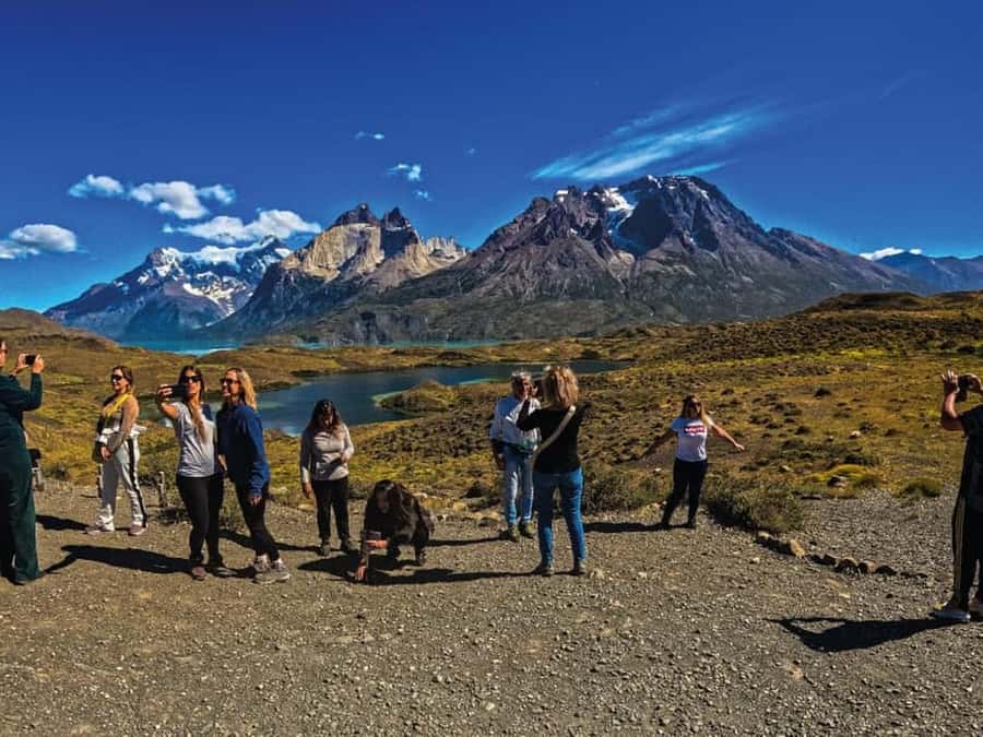 Punta Arenas: Full-Day Torres del Paine Tour - Salto Grande waterfall walk: short effort, big payoff