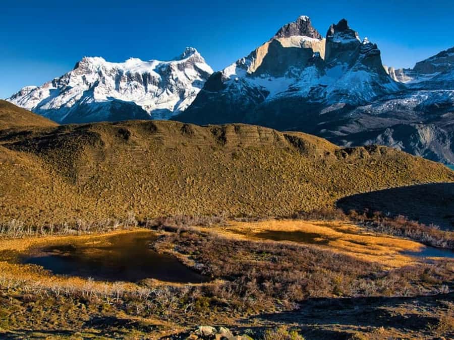 Punta Arenas: Full-Day Torres del Paine Tour - Small group, big comfort, and why it matters