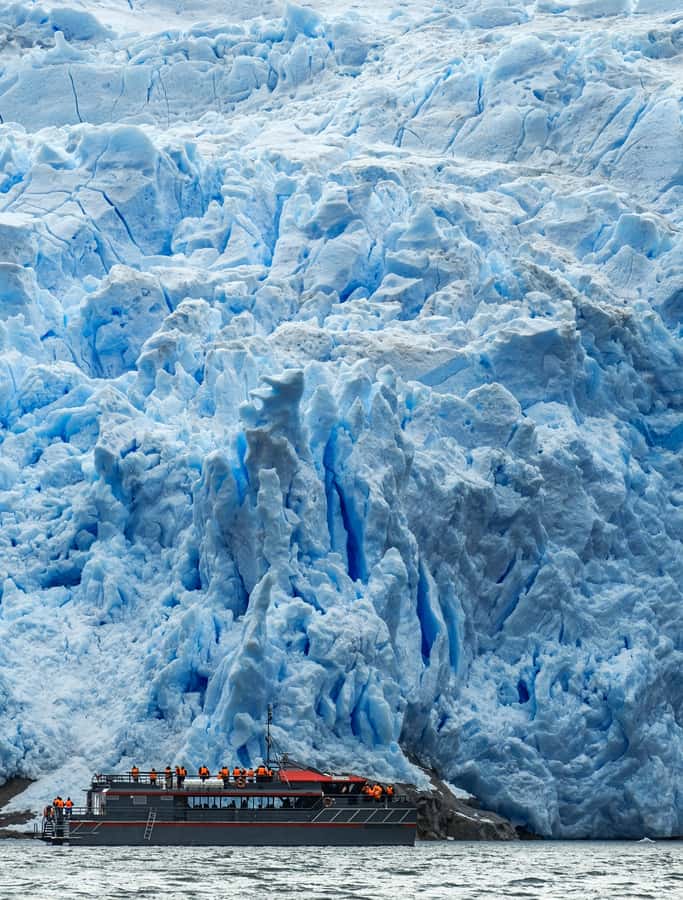 Punta Arenas: Full-Day Whales, Penguins, and Glaciers Tour - Quick takeaways before you go
