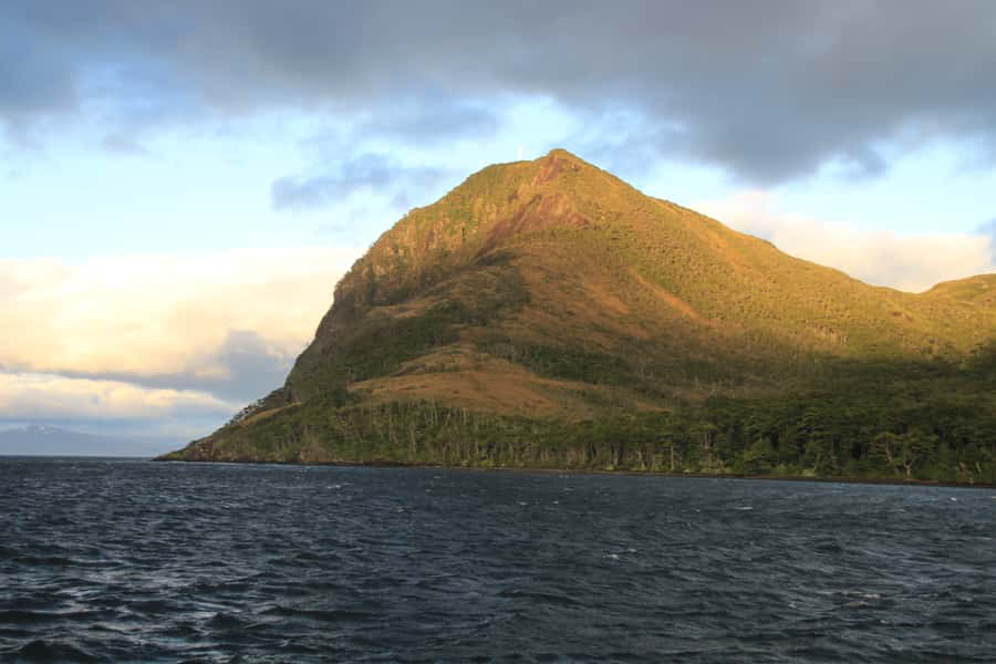 Punta Arenas: Full-Day Whales, Penguins, and Glaciers Tour - Seasickness reality check: the one drawback you can prepare for