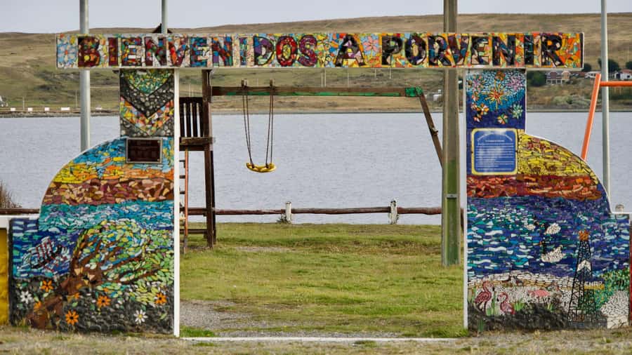 Punta Arenas: King Penguin Park and Tierra del Fuego Trip - Punta Arenas pickup and the long-haul rhythm you should plan for