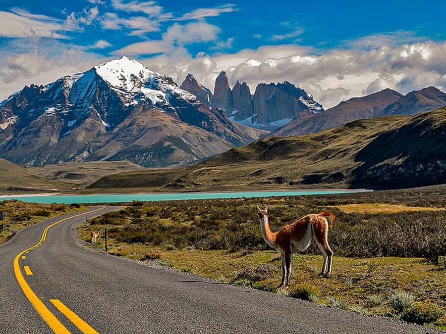Punta Arenas: Torres del Paine & Grey Glacier Full-Day Boat - Grey Lake Catamaran Cruise: Getting Up Close to Grey Glacier