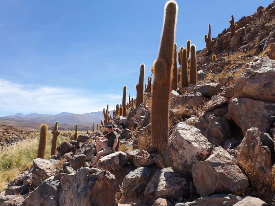 Purilibre Trekking - Key Things to Know Before You Go