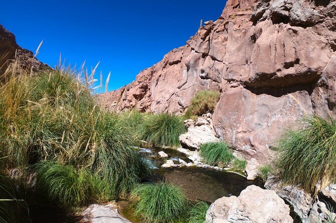 Purilibre Trekking: Disconnection and Nature - Key Points Before You Go