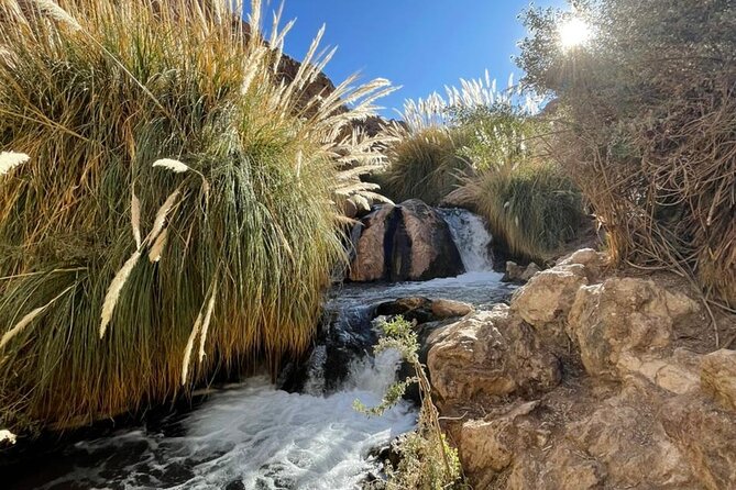 Purilibre Trekking: Disconnection and Nature - The Hot Springs Finish: Refreshing Water, Not A Long Soak