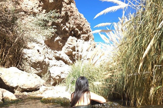 Purilibre Trekking: Disconnection and Nature - Price And Value: Is $35 Worth It?