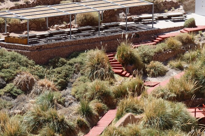 Puritama Hot Springs Experience with Transfer and Entrance - Small Group Size: Why Up to 14 Travelers Matters