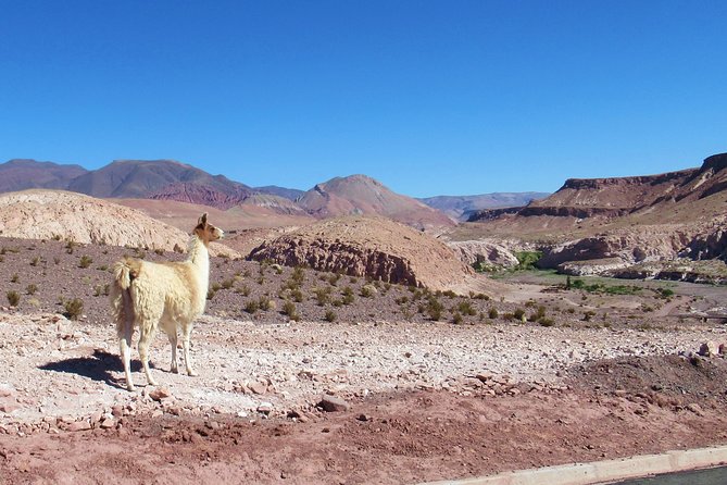 Rainbow Valley - Why Rainbow Valley feels like a real Andes classroom