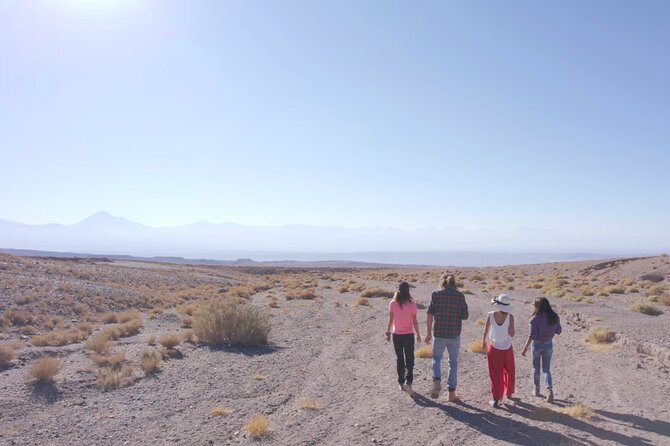 Rainbow Valley and Petroglyphs of Yerbas Buenas - Price and the real value of the $51.99 package