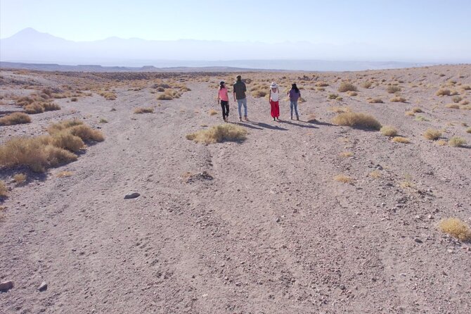Rainbow Valley and Petroglyphs of Yerbas Buenas - Tour pace, group size, and comfort on the route