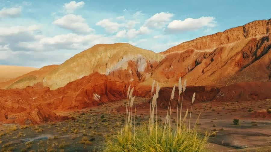 Rainbow Valley Tour: Mesmerizing Colors and Flavors - Key highlights you will care about