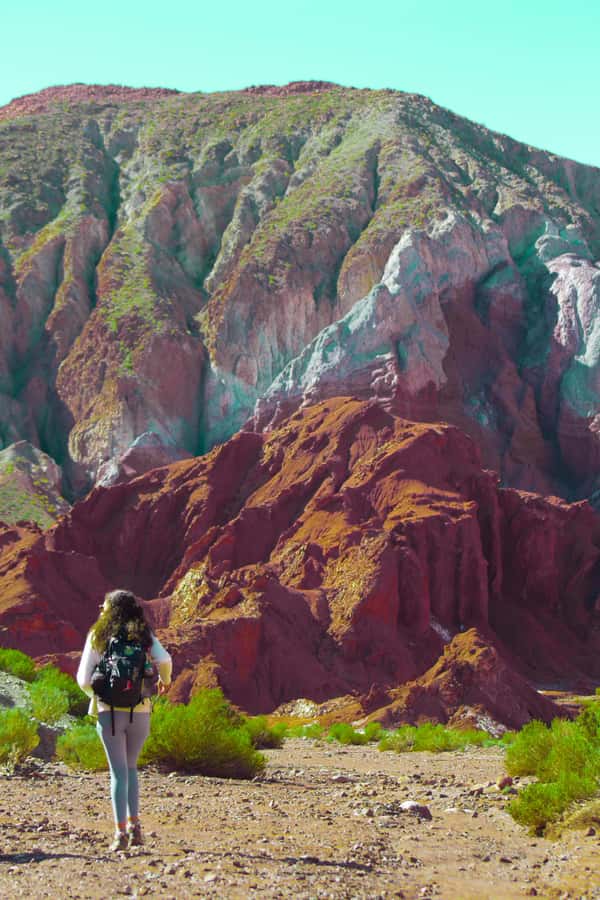 Rainbow Valley Tour: Mesmerizing Colors and Flavors - From San Pedro pickup to Caracoles drop-off: how the day moves
