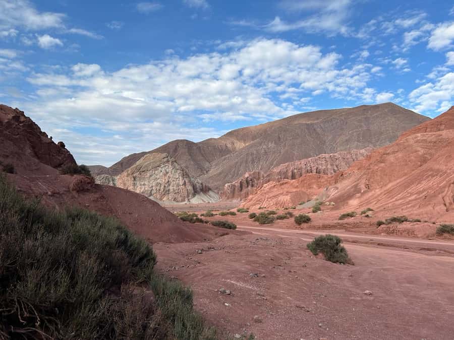 Rainbow Valley Tour + Petroglyphs (Yerbas Buenas) - Key highlights you’ll feel on the ground