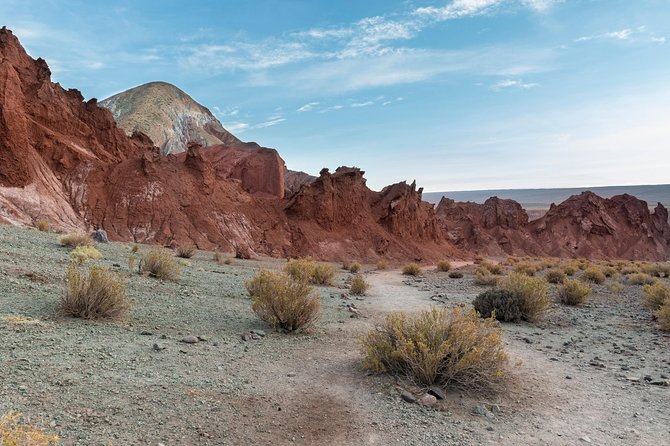 Rainbow Valley Tour, Yerbas Buenas Petroglyphs - Half Day Tour - Yerbas Buenas Petroglyphs: caravan-era rock art and why it matters