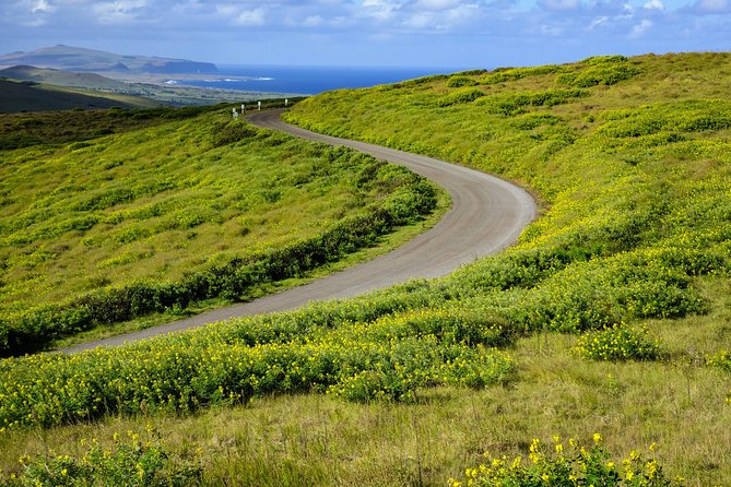 Rano Kau and Orongo: Half Day Private Tour - Stop 1, Rano Kau Caldera and the Interior Wetland