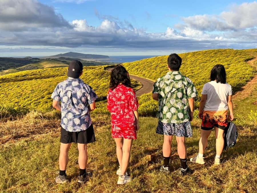 Rapa Nui: 3 Excursions with Hotel Transfers - Half-day 1: the south peninsula and the Orongo to Vinapu story