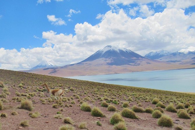 Red Stones - Altiplanicas - Chaxa - Lagunas Altiplanicas: serene water, big sky, and easy pacing