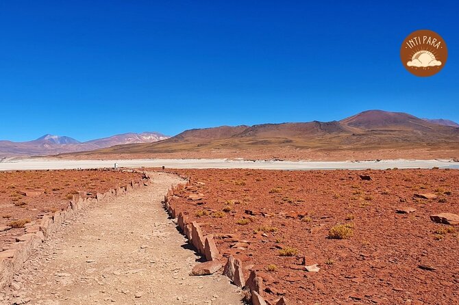 Red Stones and Altiplanic Lagoons - Chaxa Lagoon and the pelicans: the stop that does the work