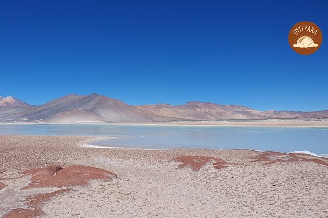 Red Stones and Altiplanic Lagoons - Miscanti Lake: where the altiplano starts to feel real