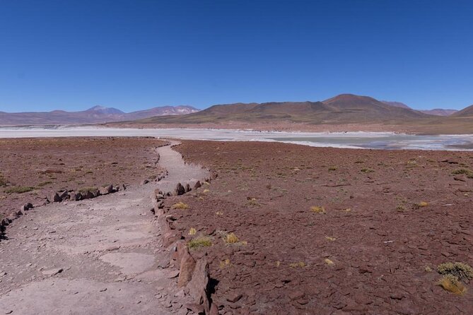 Red Stones and Altiplanica Lagoons Salar de Atacama - Comfort and pacing: how the day avoids feeling rushed