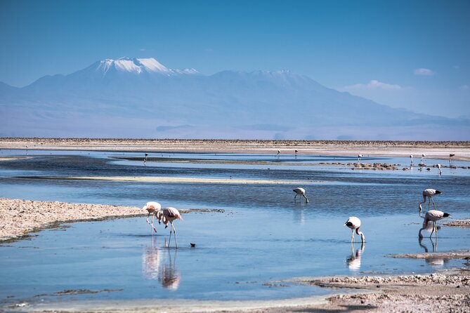 Red Stones and High Plains Tour from San Pedro - Key highlights you should care about