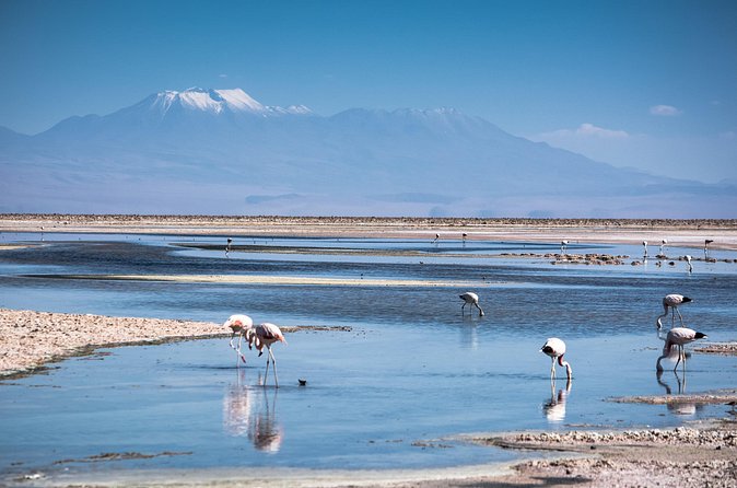 Red Stones and High Plains Tour from San Pedro - Food, comfort, and the little details that make a long day easier