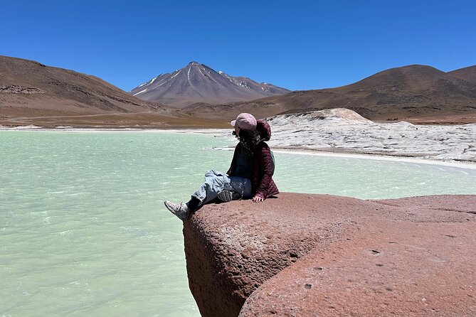 Red Stones and High Plains Tour from San Pedro - Laguna Chaxa inside Los Flamencos: flamingos, salt-flat science, and simple trail time