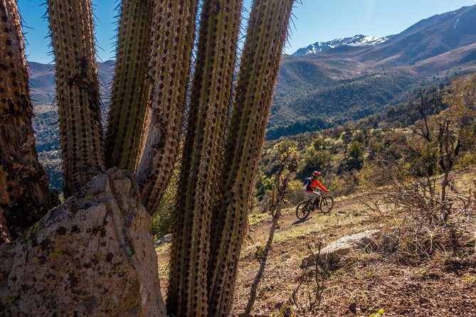 Rent an Electric Mountain Bike in Santiago to ride in a Bike Park - RKF Durazno Bike Park: What the Setup Means for Your Day