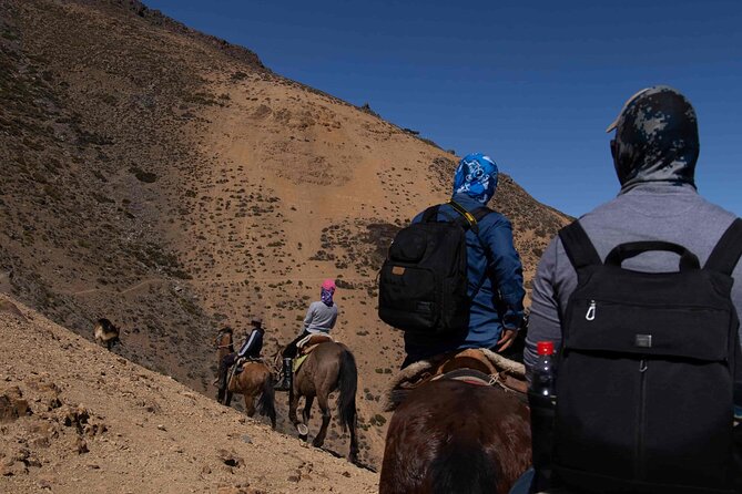 Ride in the semi-private Andes with roast - Key Highlights You Should Know Before You Go