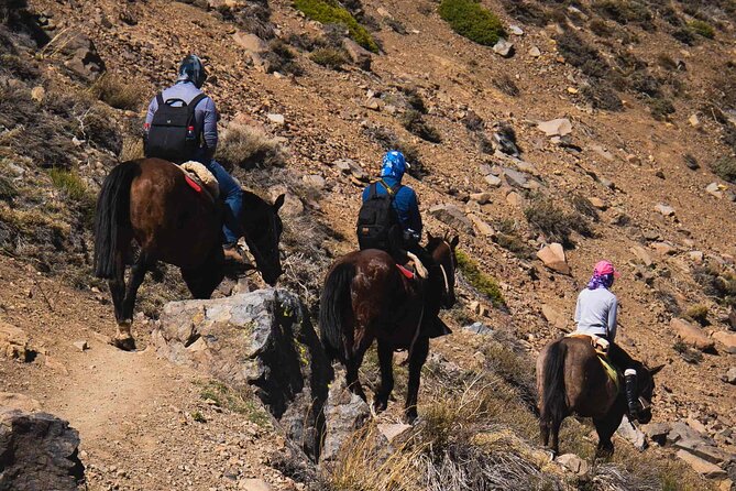 Ride in the semi-private Andes with roast - The Ride Up: Villa Paulina (1900 masl) to Alemán Refuge (2400 masl)