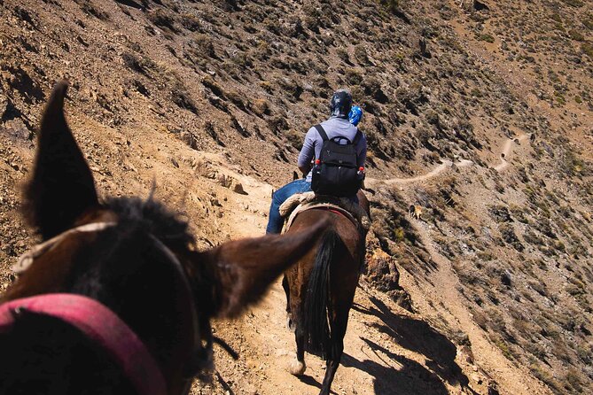 Ride in the semi-private Andes with roast - What You Notice on Horseback at Higher Elevations