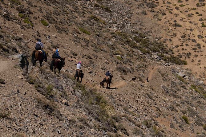 Ride in the semi-private Andes with roast - The Return Down to Villa Paulina
